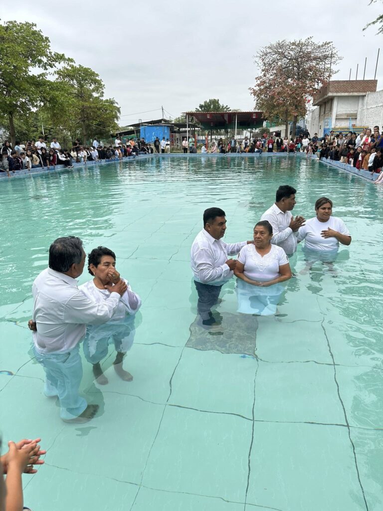 527907559_1200475065456040_7648189435623818311_n